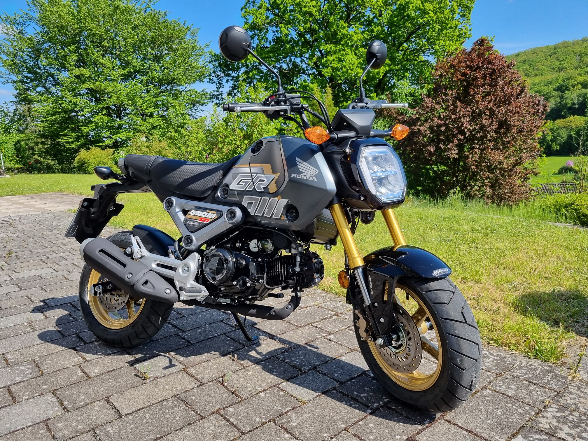 Frontaufnahme Honda MSX125 Grom